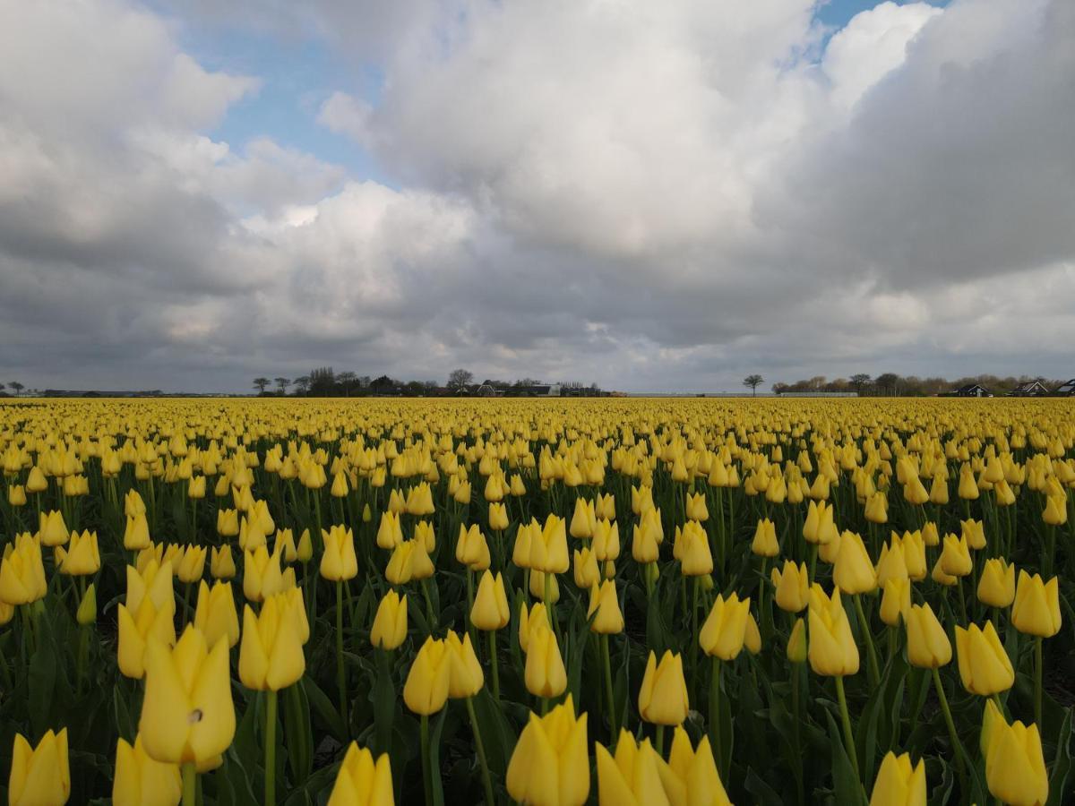 Camping De Tulpenweide Lege Kampeerplaats, Lege Plaats Op Het Gras Zonder Bed Breezand Kültér fotó