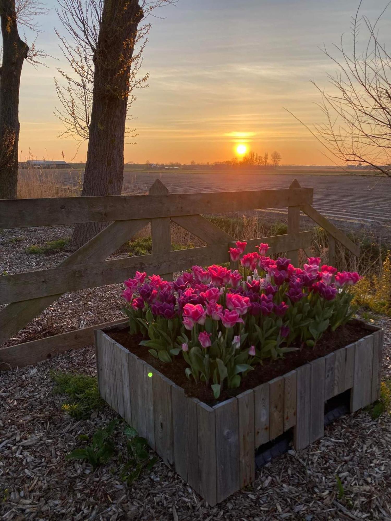 Camping De Tulpenweide Lege Kampeerplaats, Lege Plaats Op Het Gras Zonder Bed Breezand Kültér fotó
