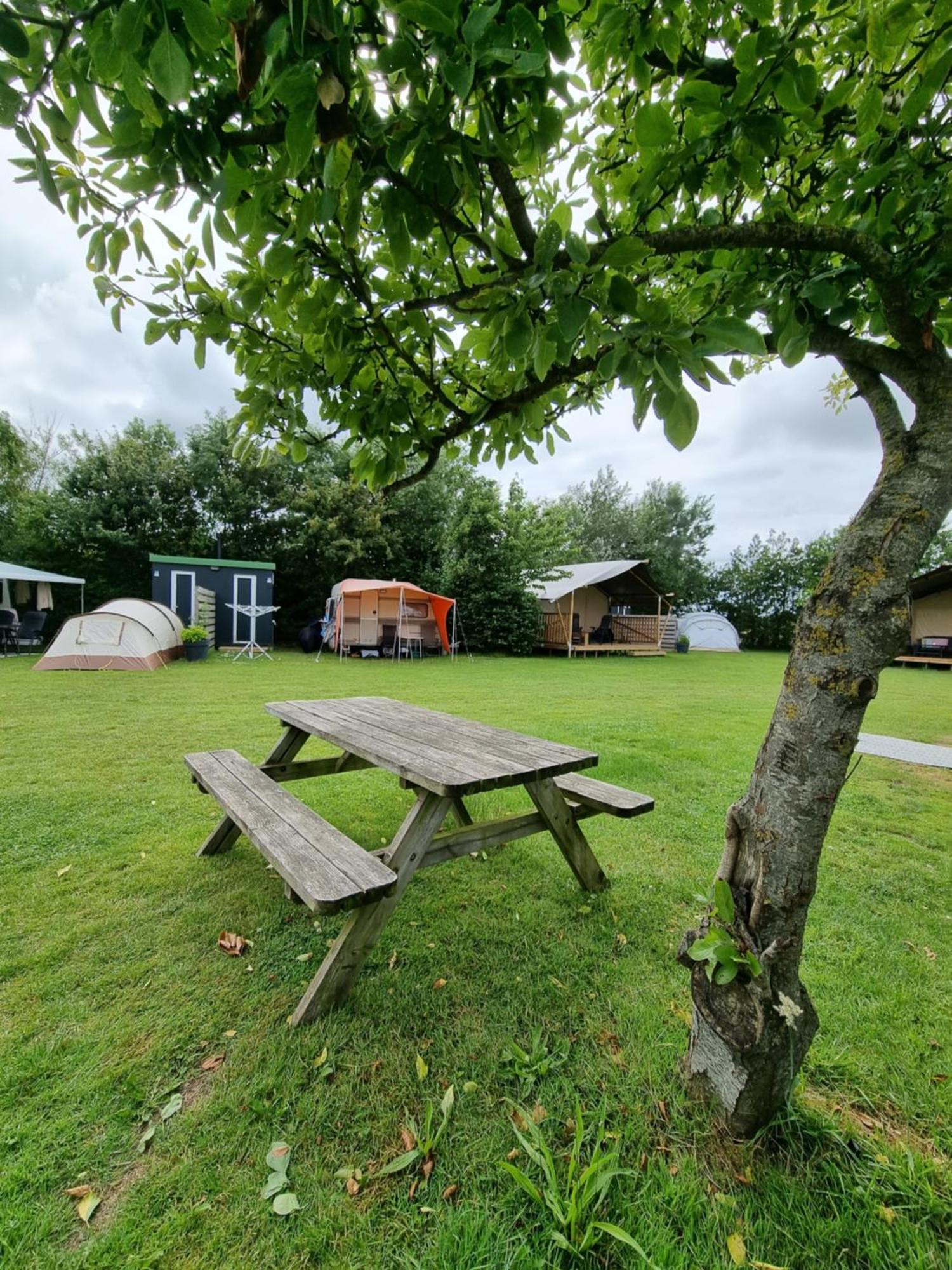 Camping De Tulpenweide Lege Kampeerplaats, Lege Plaats Op Het Gras Zonder Bed Breezand Kültér fotó