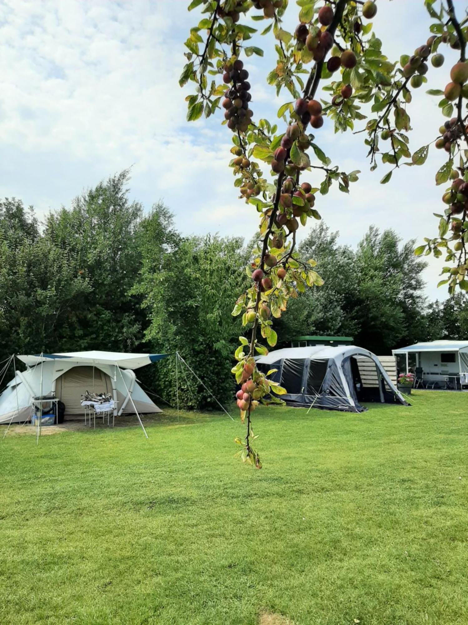 Camping De Tulpenweide Lege Kampeerplaats, Lege Plaats Op Het Gras Zonder Bed Breezand Kültér fotó
