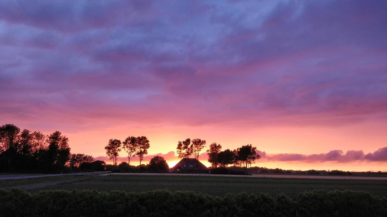 Camping De Tulpenweide Lege Kampeerplaats, Lege Plaats Op Het Gras Zonder Bed Breezand Kültér fotó